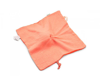 Peter Rabbit Pink Plush